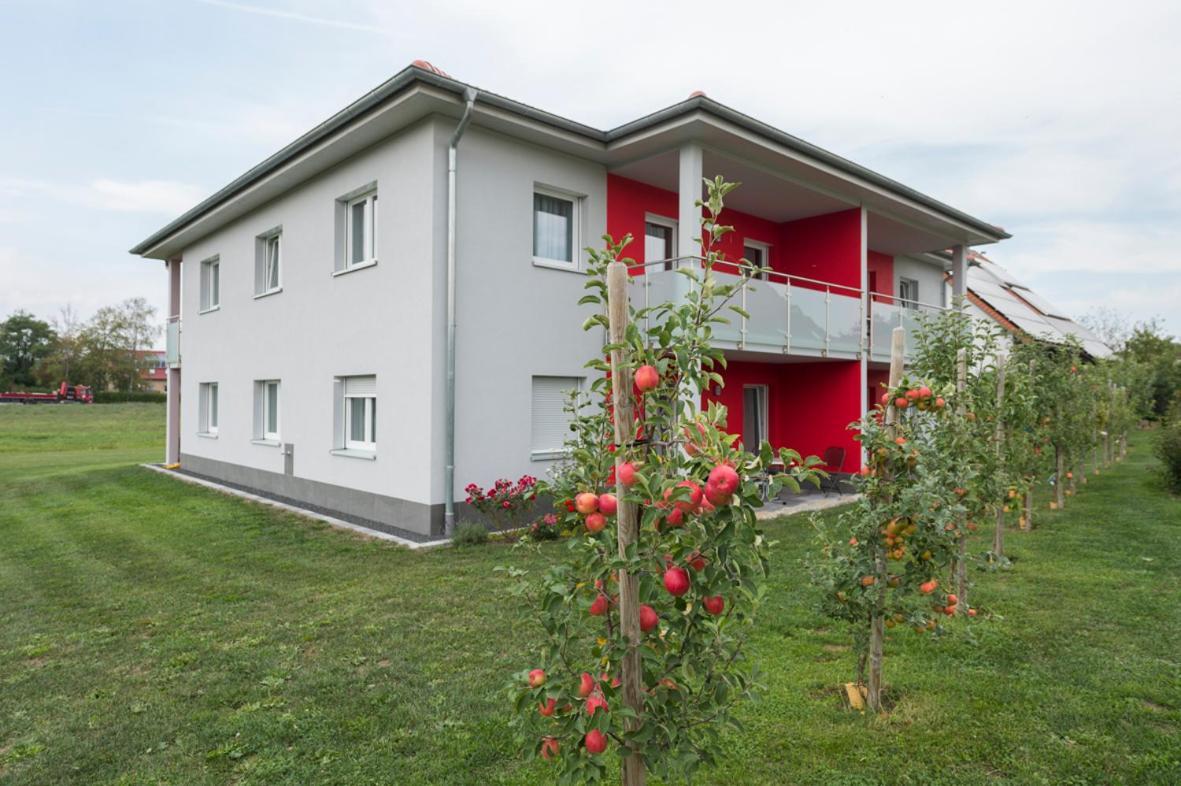 Hofmann'S Apartements & Ferienwohnungen Обердакштеттен Экстерьер фото